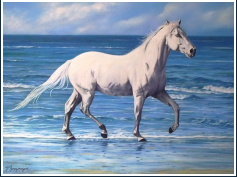 Le cheval blanc - pastel sec - taille : 30 x 40cm (indisponible)