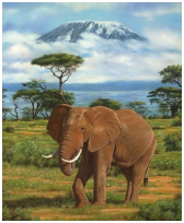 Paysage d'Afrique - pastel sec - taille : 40 x 30 cm (indisponible)