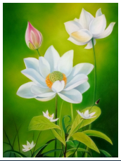 Le lotus blanc - pastel sec - taille : 37 x 28 cm