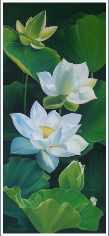 Garden lotus - pastel sec - taille : 25 x 54cm