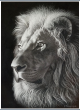 Le lion - dessin crayons pastels - taille : 40 x 30 cm (disponible)