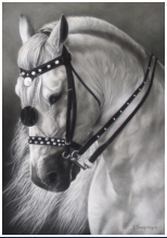 White Beauty - dessin crayons pastels - taille : 45 x 32 cm (disponible)