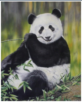 Le panda - pastel sec - taille : 38 x 30 cm (disponible)