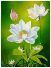 Le lotus blanc - pastel sec - taille : 37 x 28 cm (disponible)