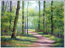 Le sous-bois - pastel sec - taille : 30 x 40 cm (disponible)