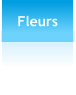 Fleurs