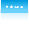Animaux