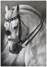 White Beauty - pastel noir et blanc - taille : 45 x 32 cm (indisponible)